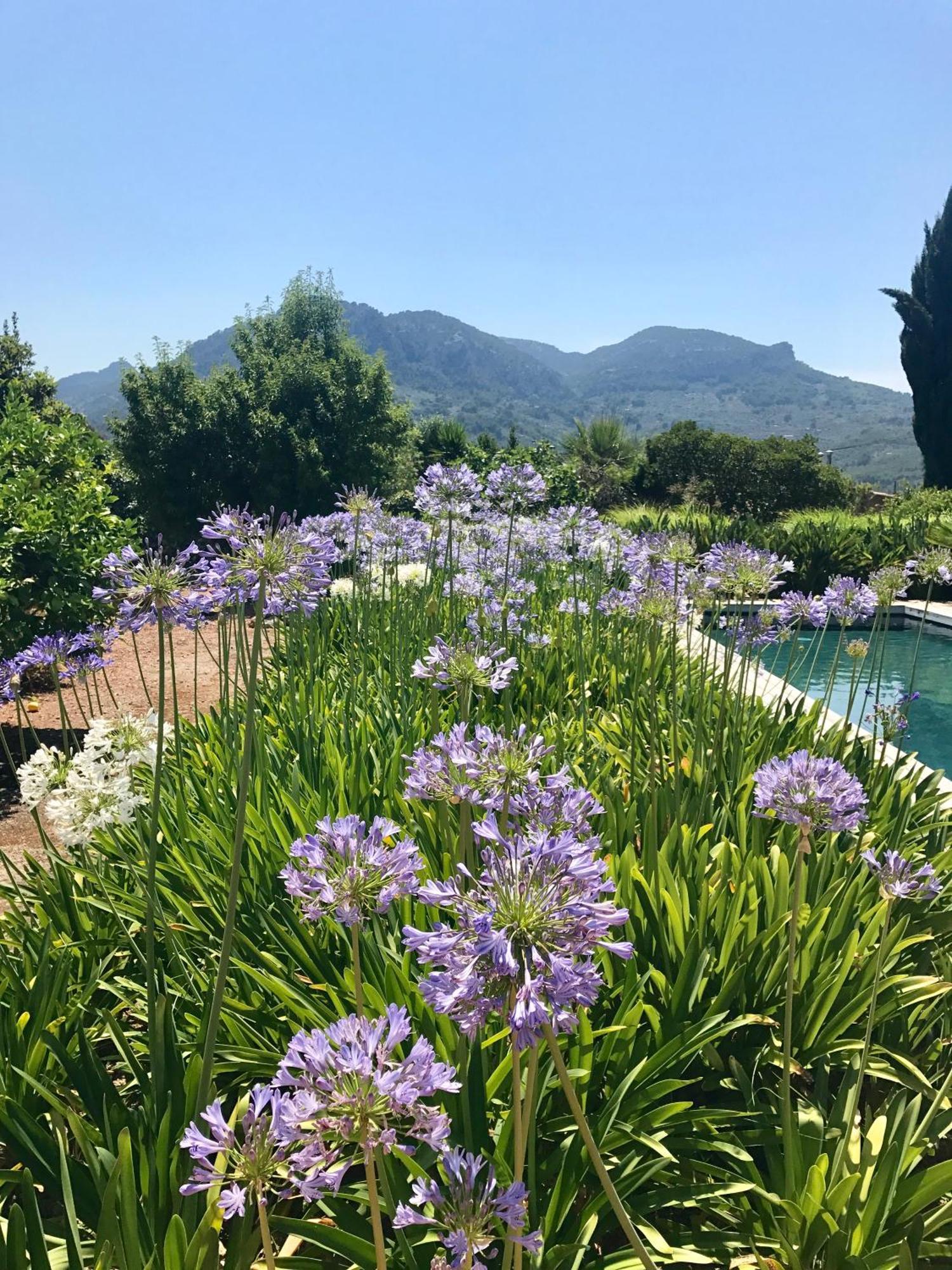 Villa Busquera *