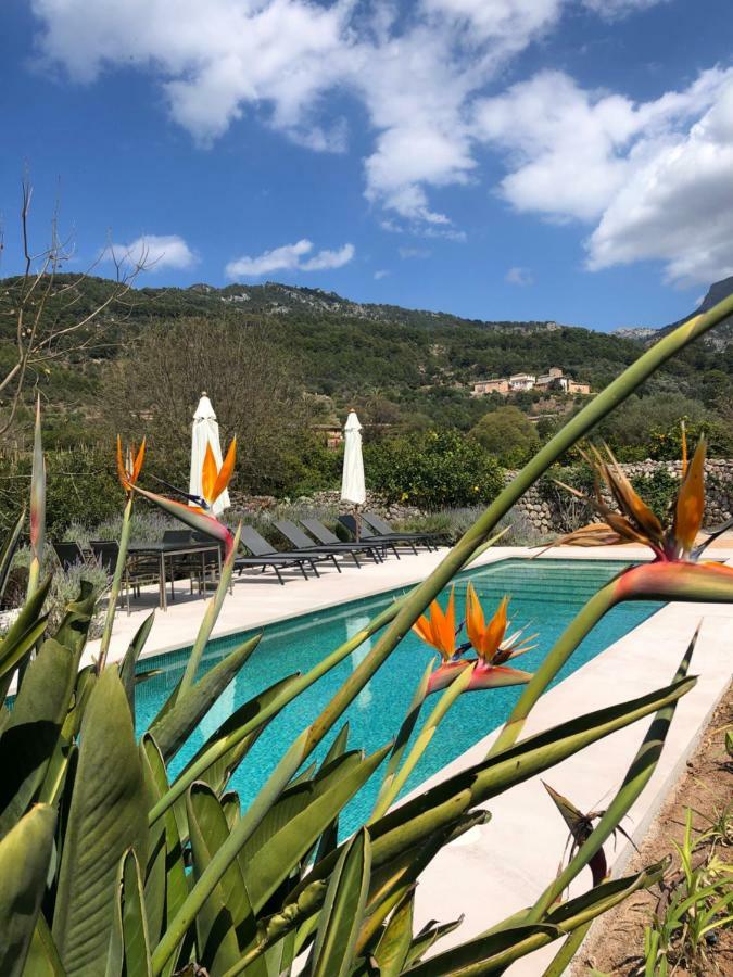 Busquera Sóller